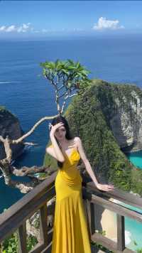 印尼雙火山+羅威納追海豚行程。