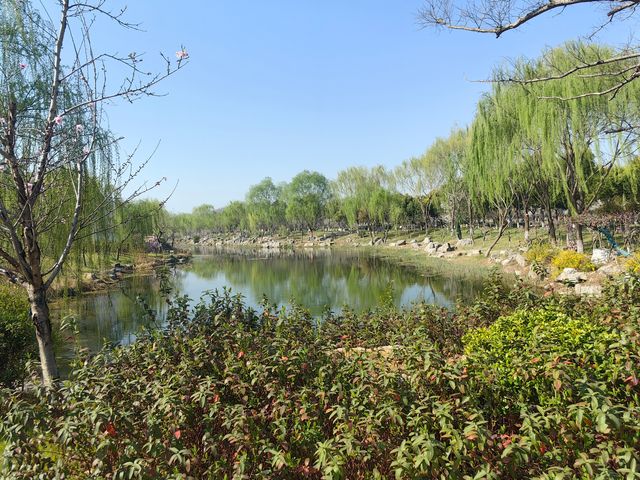鹽城大洋灣景區