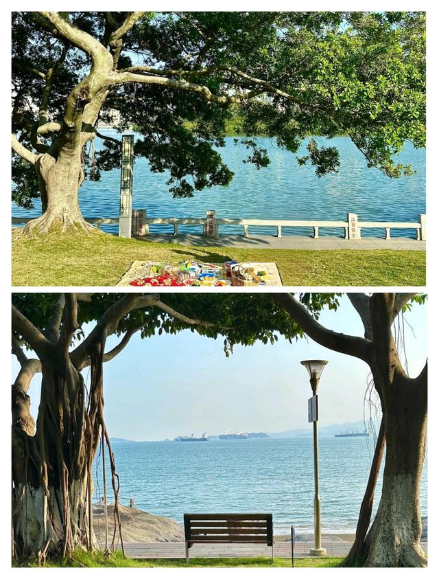 廈門超正旅遊攻略，原來咁多靚景都係免費！