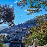 韓國釜山必去！海東龍宮寺交通全攻略🚍