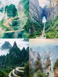 如夢似幻，天門山國家森林公園的絕美之旅。