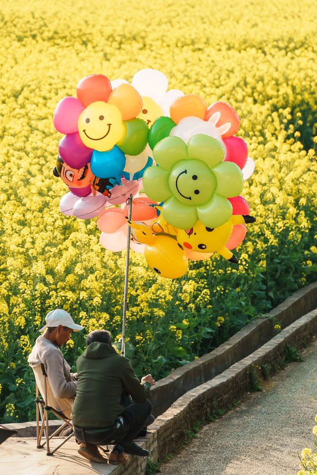 興義萬峰林油菜花不可錯過春日花海