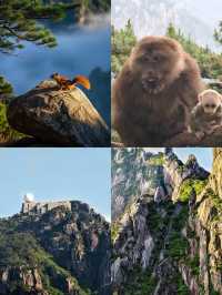 6-8月黃山旅遊秘笈，9條實用建議請查收