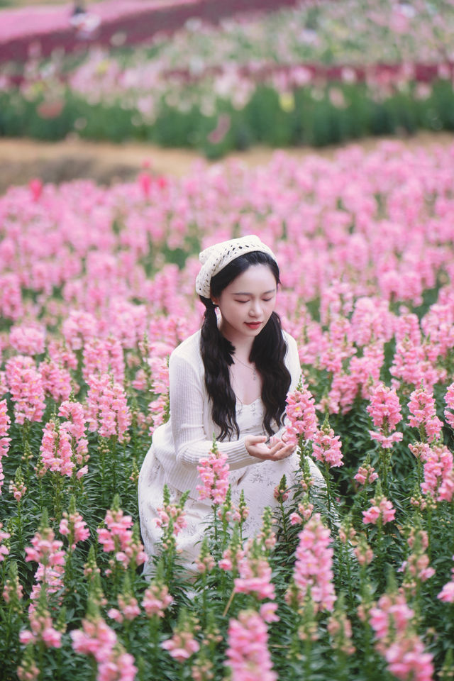 崇左秘境暴走峒那嶼灣花海把我美到失語