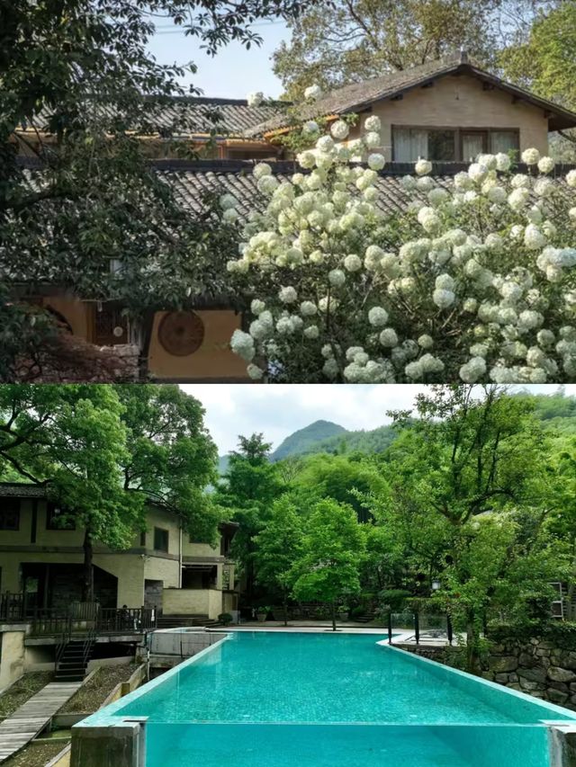 江浙滬小長假周邊遊｜藏在竹林裡的桃花源夢