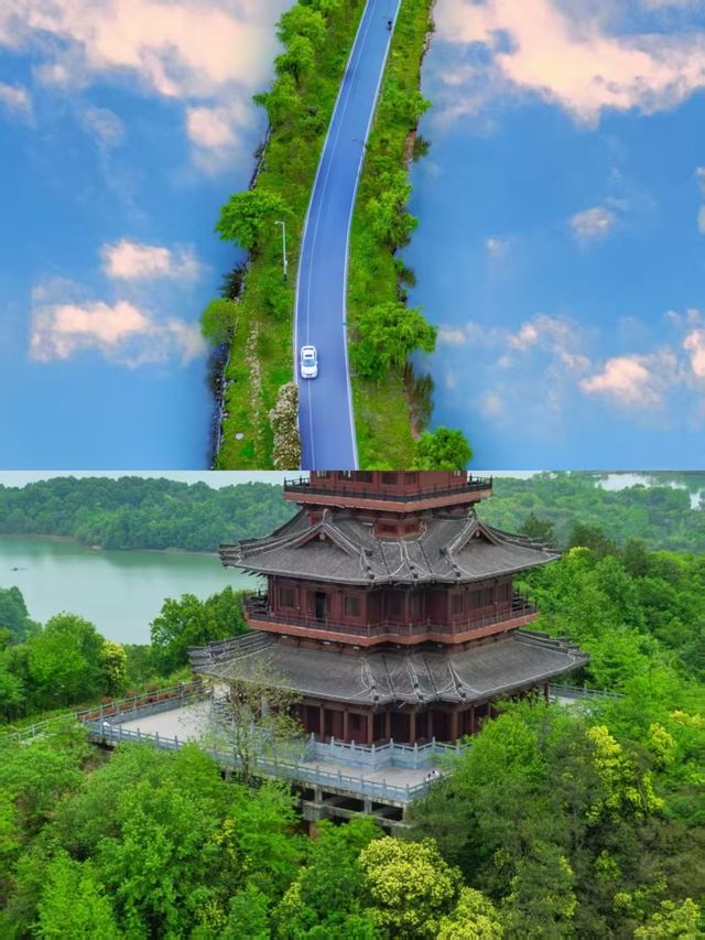 開車直達湖邊，呢個天氣露營都幾舒服啊！！