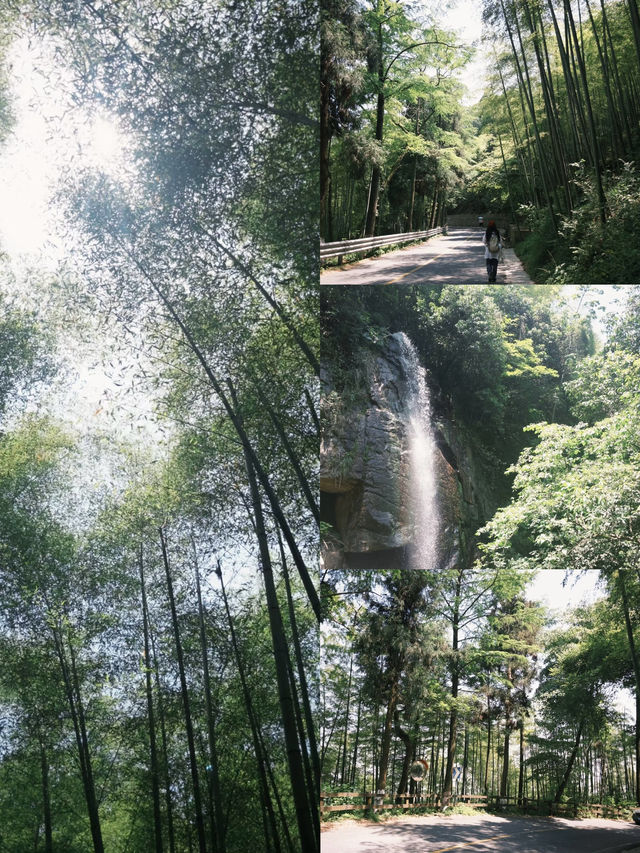 夏日避暑聖地——莫干山