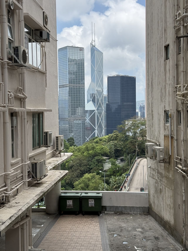 Central To Admiralty - Experience The Concrete Jungle Of Hong Kong 