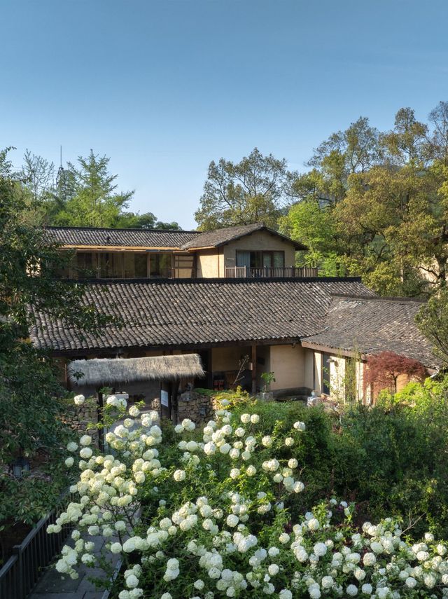 五一·安吉山野鬆弛指南