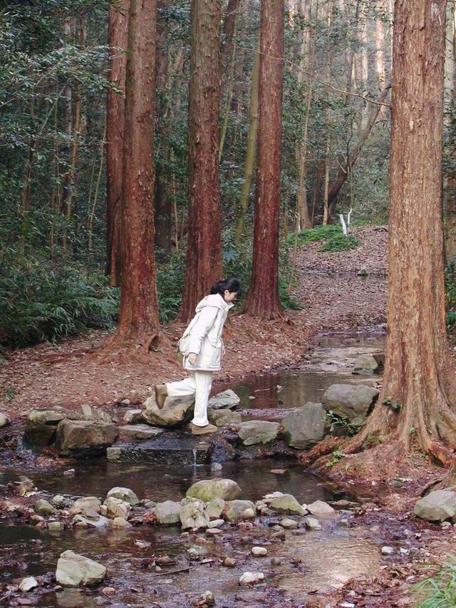 西湖雲築享受躺平人生