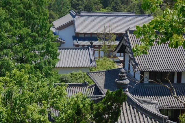 徑山寺嘅特色
