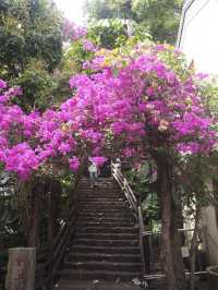 Day Trip Itinerary for Shenzhen