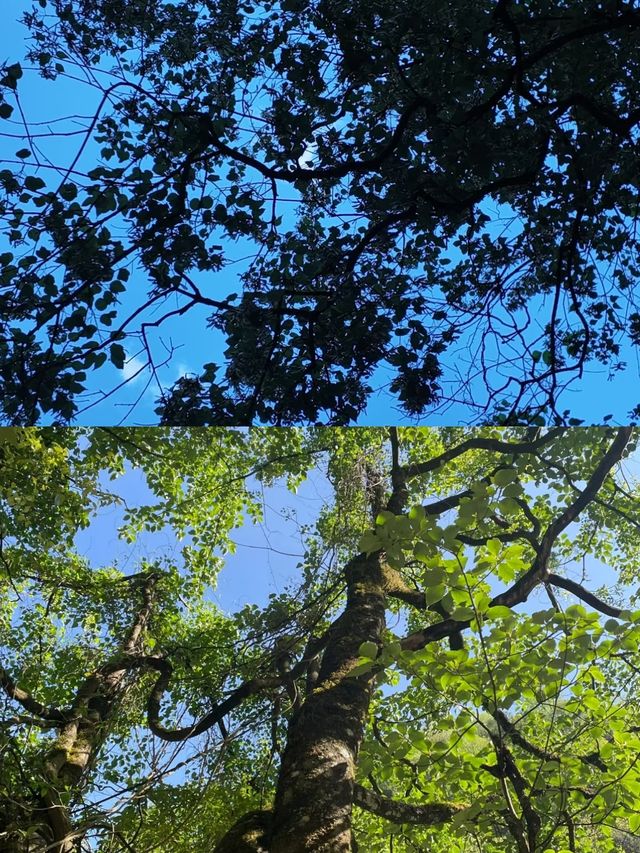 普格已回，最近去玩嘅一定要注意