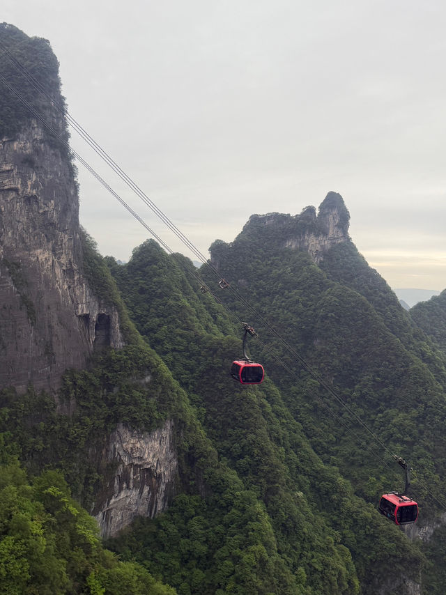 Zhangjiajie - A Dreamlike Mountain Escape 