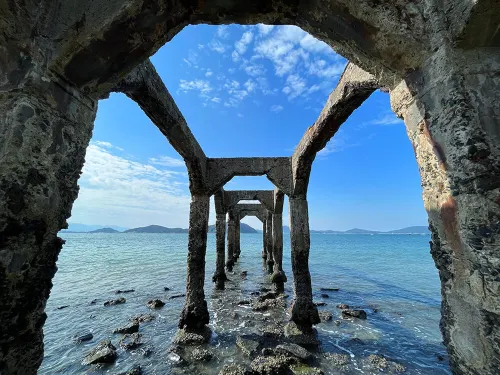 福岡能古島:四季の花畑×絶景離島の秘境