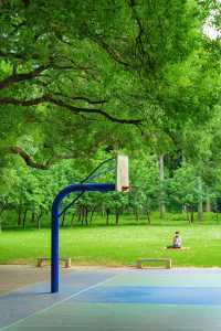 佛山真係好chill…願意去一萬次嘅生命力公園