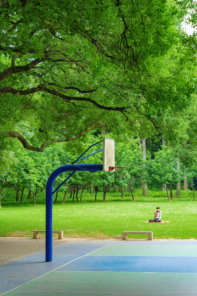 佛山真係好chill…願意去一萬次嘅生命力公園