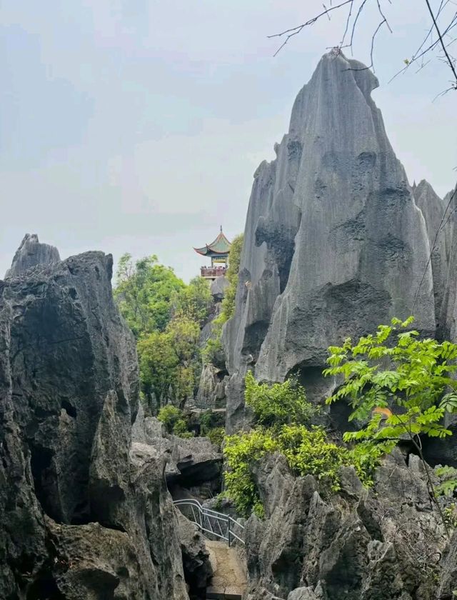 《石林：鬼斧神工，夢幻奇境》