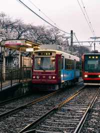 東京 | 搭乘昭和風情的櫻花電車🌸