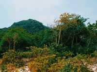 The Enchanting Beauty of Phi Phi Islands: Mesmerising Vibes