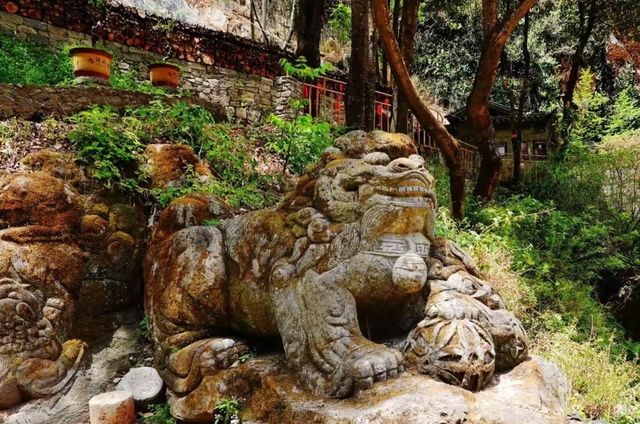 邂逅千獅山 | 石獅與山水的詩意之約