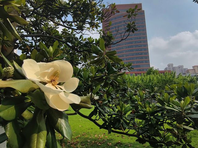 參觀一下上海交通大學徐匯校區