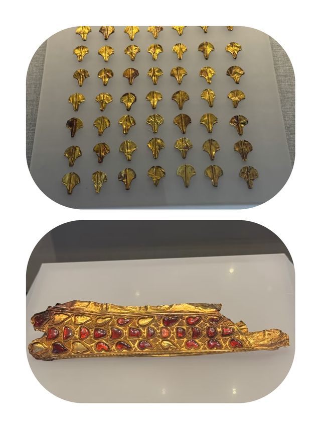 探索伊犁州博物館，解鎖歷史文化密碼