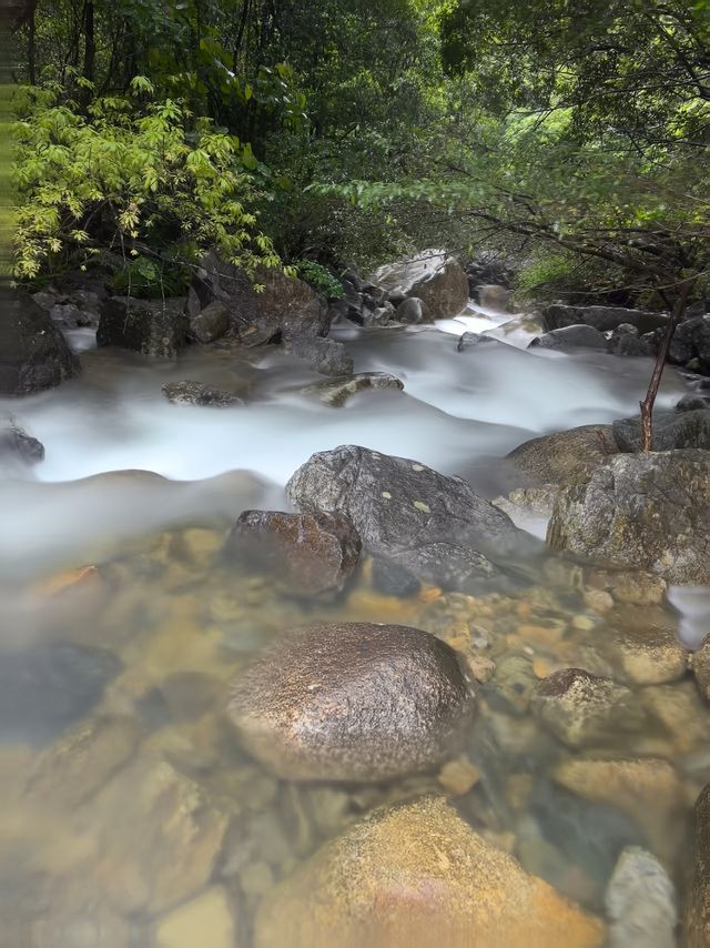 夏日嘅快樂