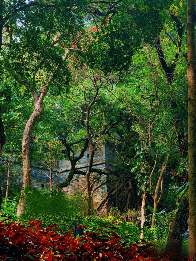 廣州越秀公園暴走實錄！逛到腿軟！