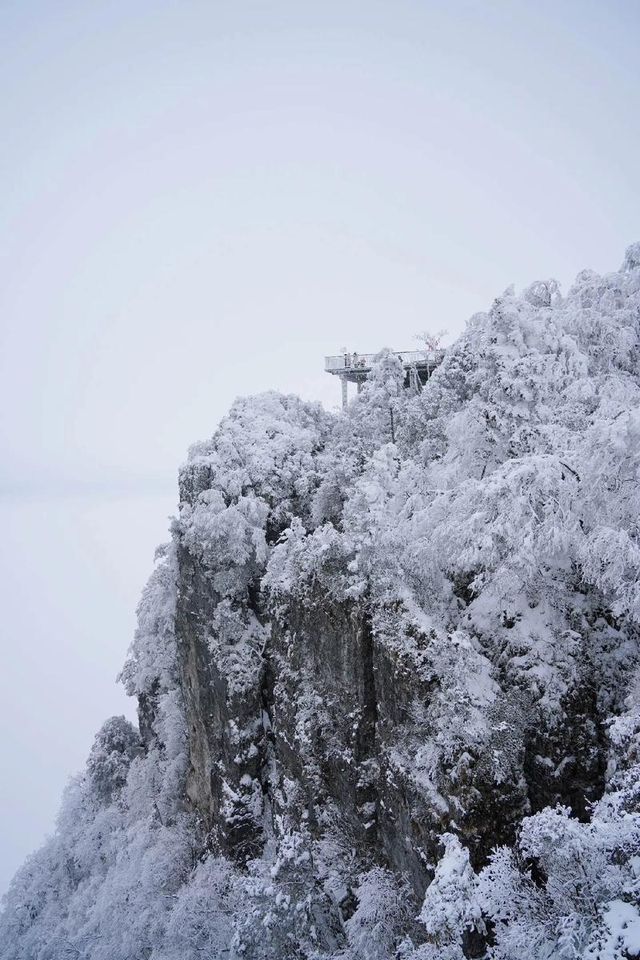 朝陽出發，龍頭山藏何景？