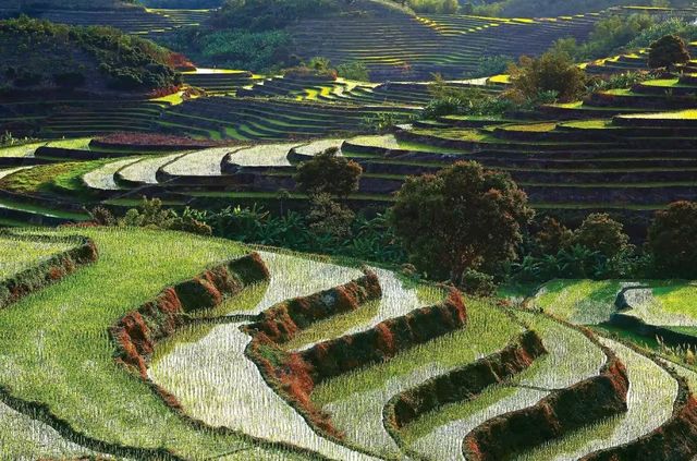 五指山亞泰酒店 | 藏喺山林嘅避世桃源