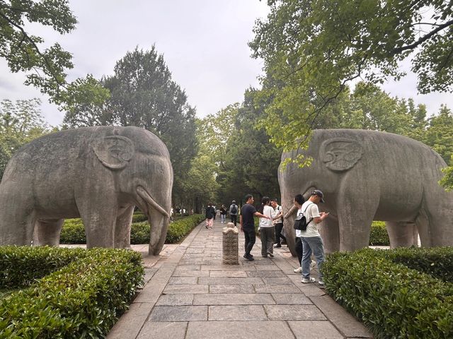 南京｜兩日特種兵式短途旅行