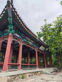 靜宜園裡四處轉轉之探訪青末了——