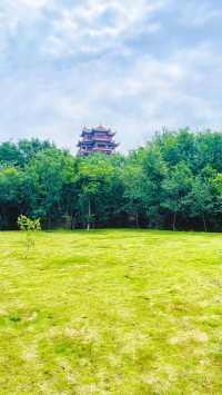 夏日暢遊煙台牟平沁水河口國家濕地公園