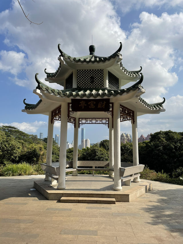 Drone Delivery In The Park, Experience The Future In Shenzhen. It’s Amazing 