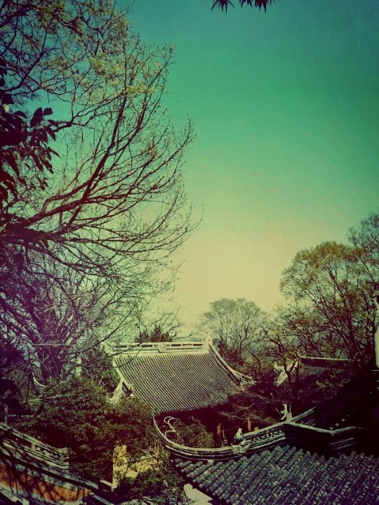 蘇州秘境｜穹窿山寧邦寺：尋一份禪意與山野的約定】**