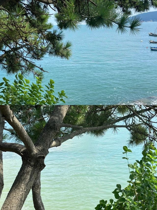 威海 | 奔赴一場浪漫的山海之約