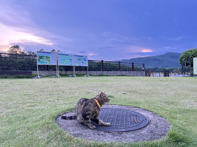 得閒·雲水間民宿的詩意旅拍場景