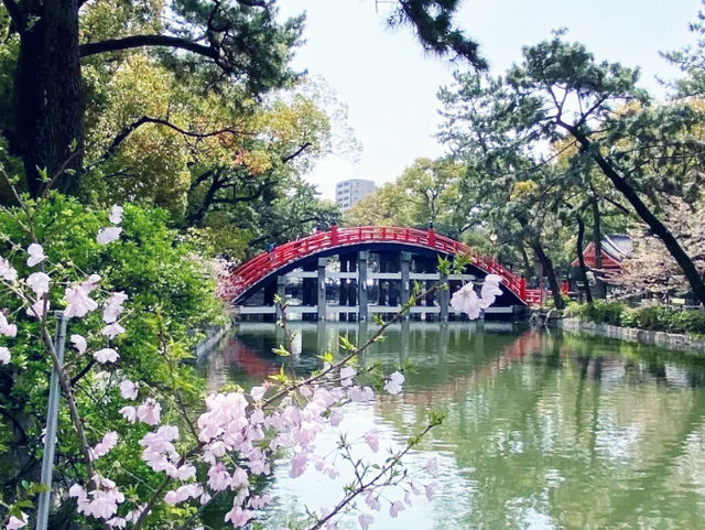**【穿越千年的神祕祈願！大阪住吉大社親身體驗】**  
