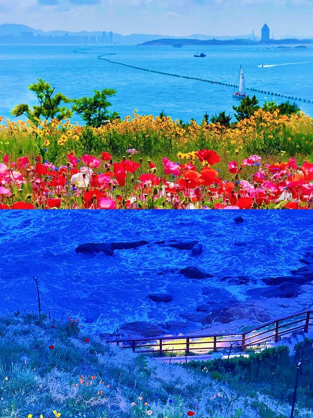 紅瓦綠樹×碧海藍天！青島，漫畫裡的濱海浪漫~