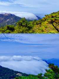 【黃山頂級風景區，但係唔會再嚟！附避坑指南】