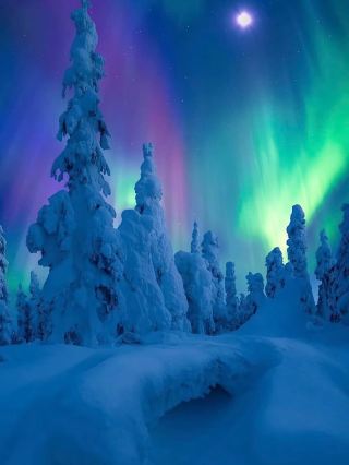 Must-stay glass igloo under the Northern Lights