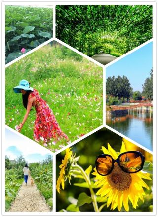 안녕하세요, 여러분! 도시의 콘크리트와 강철에 숨이 막히시나요? 현실 속 동화 속으로 잠시 빠져보고 싶으신가요? 랑팡 산허 푸런 생태공원이 바로 여러분의 비밀 정원입니다!