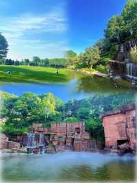 龍背山森林公園已回，真不建議8月去，因為真的太香了！