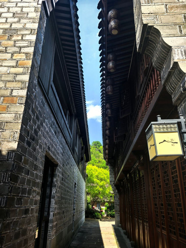 寧波東錢湖彷彿到了國外，是小加州