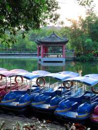 廣州旅遊本地人私藏的好去處—越秀公園～