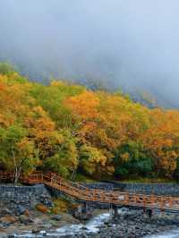 9-10月必去長白山秋色美到窒息天池Get