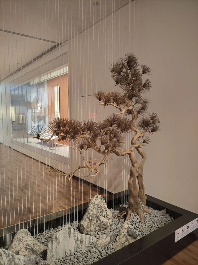 一輩子非去不可的藝術天堂,合肥美術館旋梯拍照攻略 一輩子非去不可的藝術天堂,合肥美術館旋梯拍照攻略