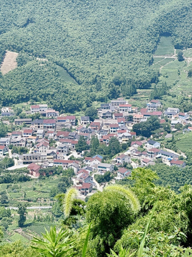 九天雲嶺：與風對話的壯闊旅程