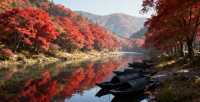 北海道定山溪 | 藏在山林間的夢幻之地